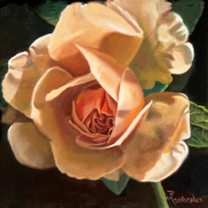 The Unfolding
