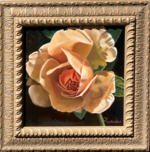 the Unfolding, a yellow rose in full bloom