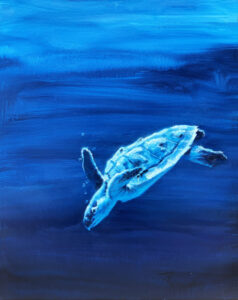 sea turtle