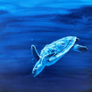sea turtle