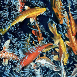 Coy Mermaids