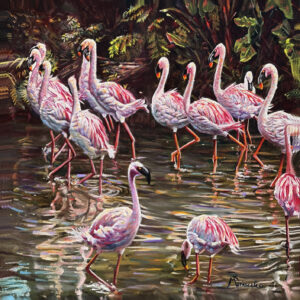 a group of pink flamingos are a Flamboyance