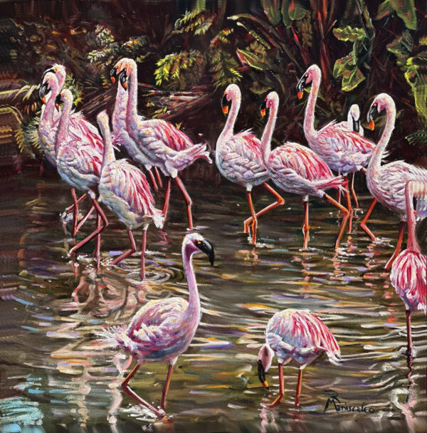 a group of pink flamingos are a Flamboyance