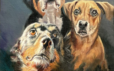 Three Dog Night