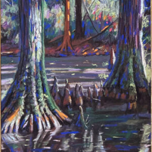 Magnolia Bog