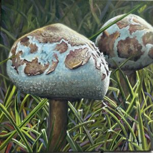 Shrooms