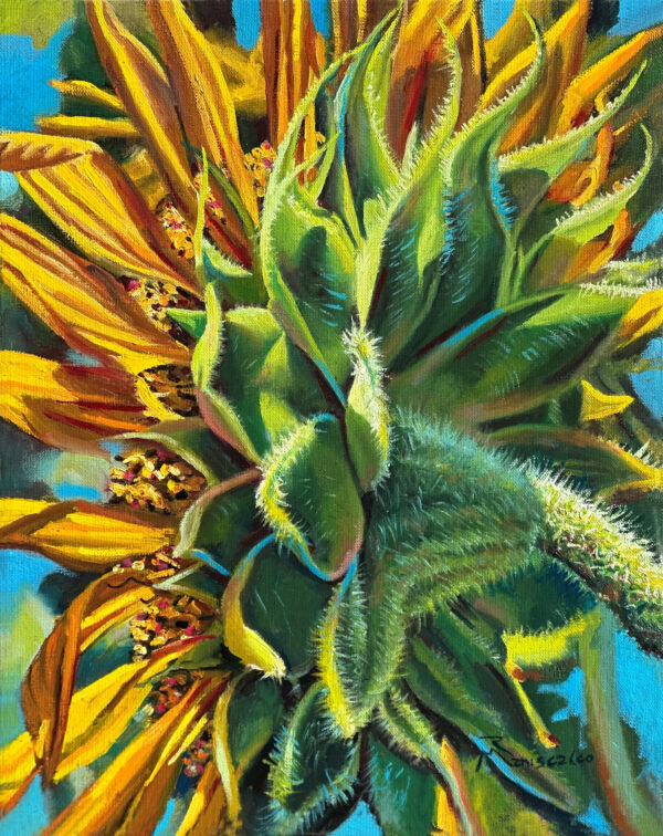 behind the scene sunflower