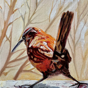 little bird