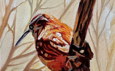 The Little Bird and the Hawk
