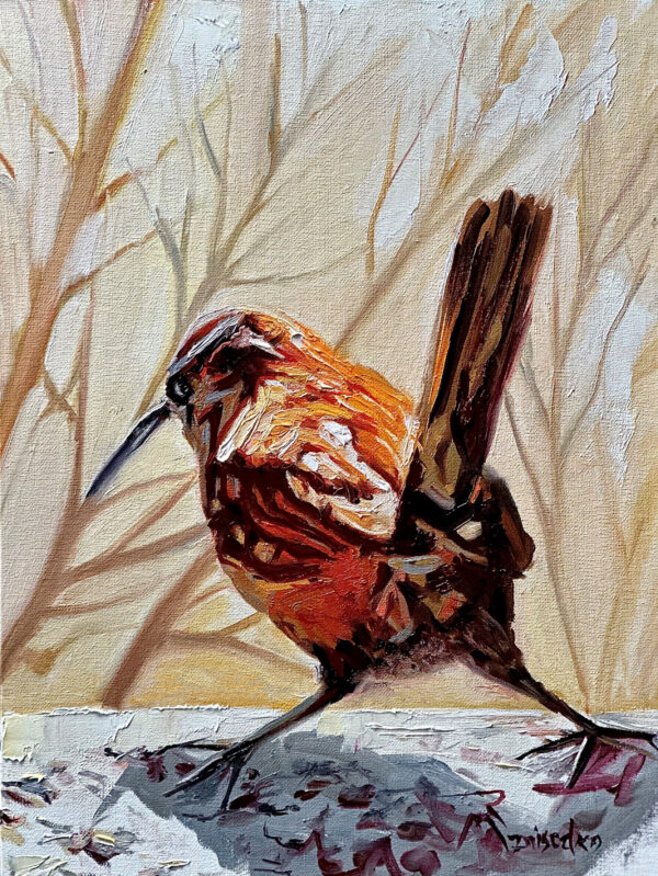 little bird