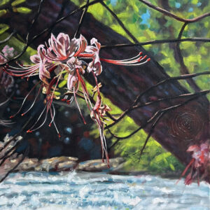 The Pink Azalea