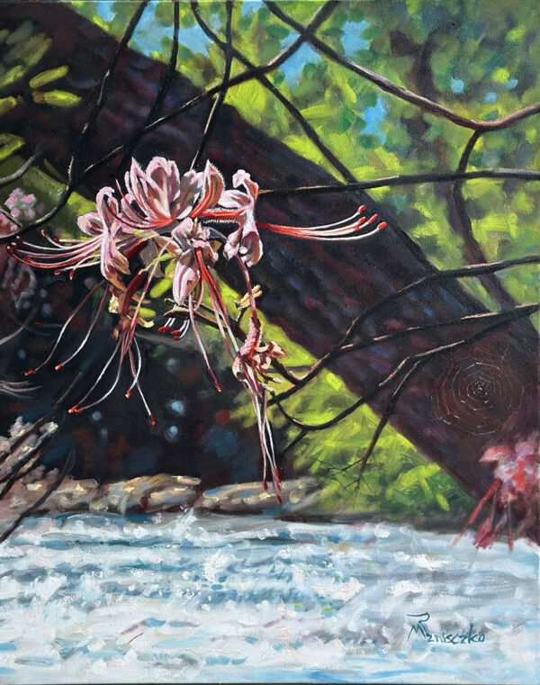 The Pink Azalea