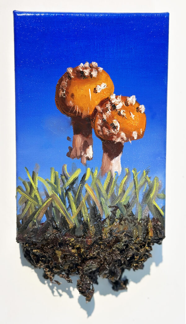 Amanita Muscaria