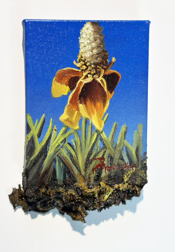 Upright Prairie Coneflower