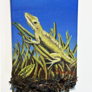 lizard