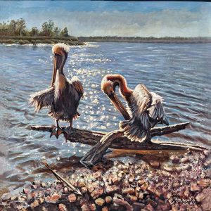 Sacrificial Pelicans