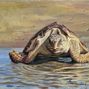 Turtle Destiny by Robert Maniscalco